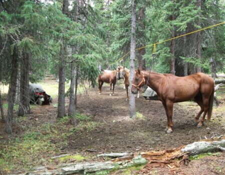 wta_1910_2017 Pics 004