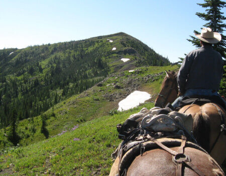 wta_1913_Hunter-on-Horse-Looking-Up-Ridge