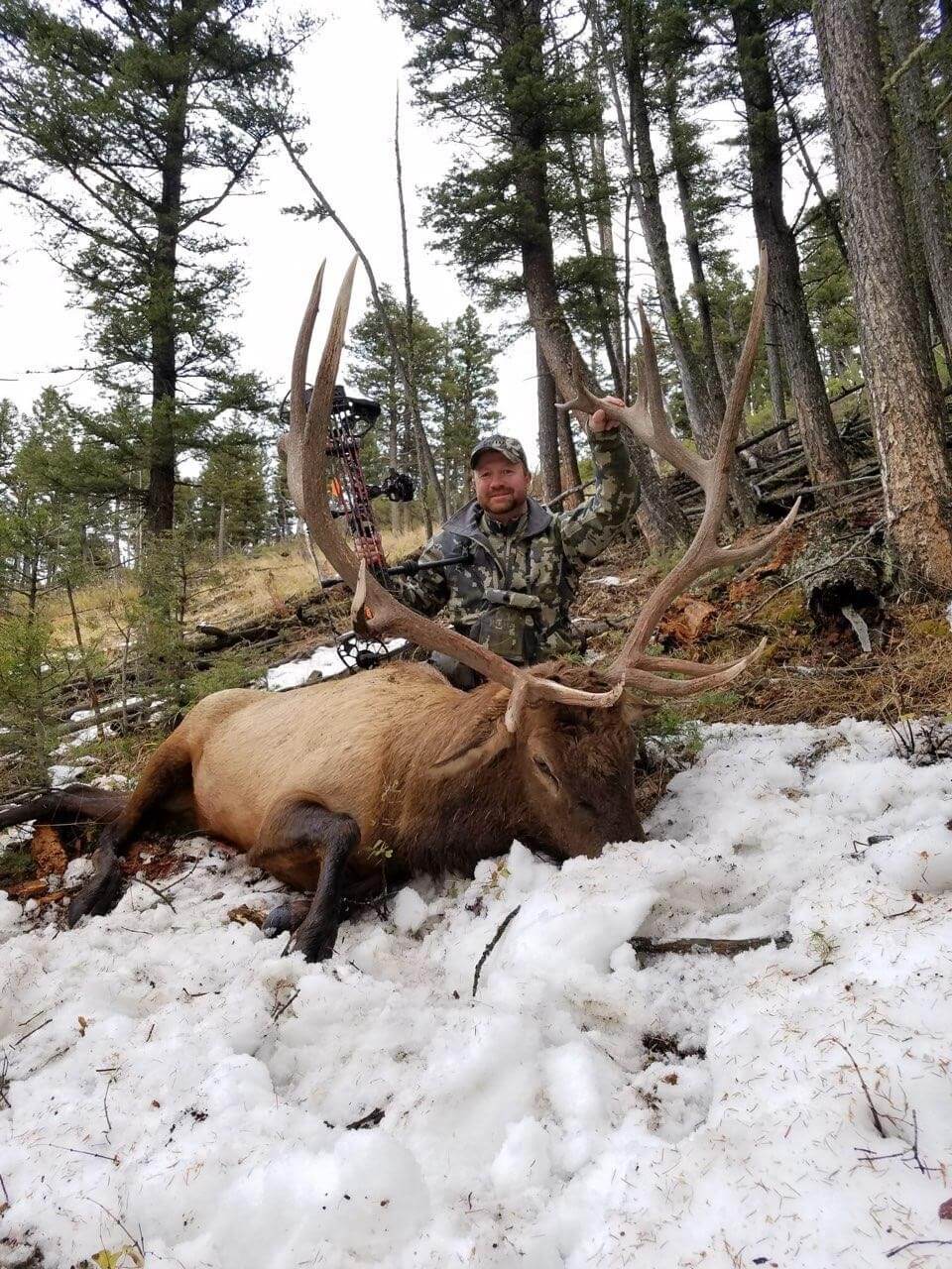 Archery Elk in Montana General Tag Worldwide Trophy