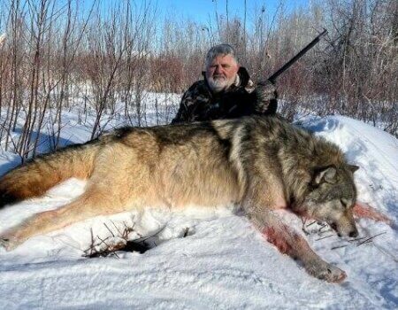 wta_1932_image0000 (8)