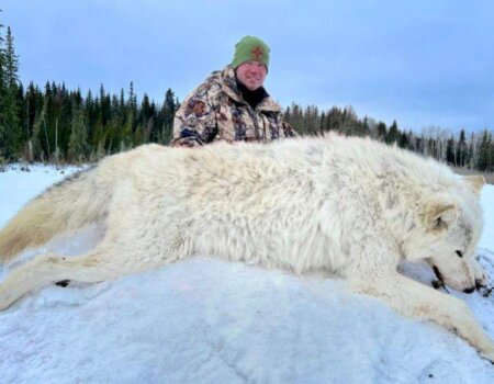 wta_1932_image0000 (9)