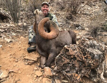 wta_1933_21e0f1ba-efaf-411a-88b8-9c8bd391ddaf