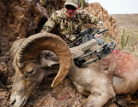 wta_1933_Robert H archery sheep