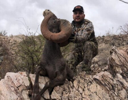 wta_1933_f68001a1-2d0e-499c-9f54-54a29b87cda6