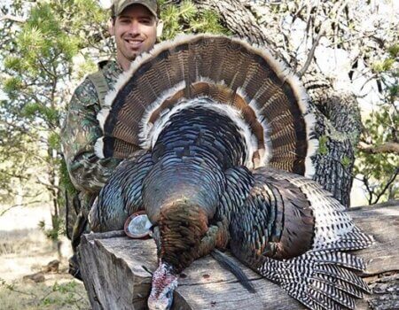 wta_1937_13315489_10153790414877572_3566234459017667995_n-copy