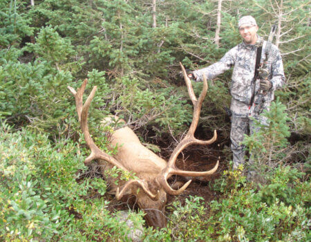 wta_1942_7202a8702db3f23409f1d9b5493f42ec