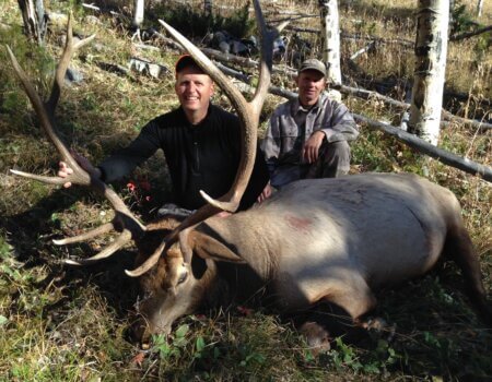 Colorado Wilderness Elk