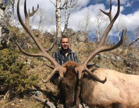Colorado Wilderness Elk