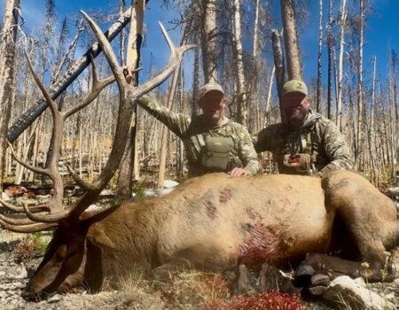 wta_1942_cwo_2025_elk-wilderness-guided-01