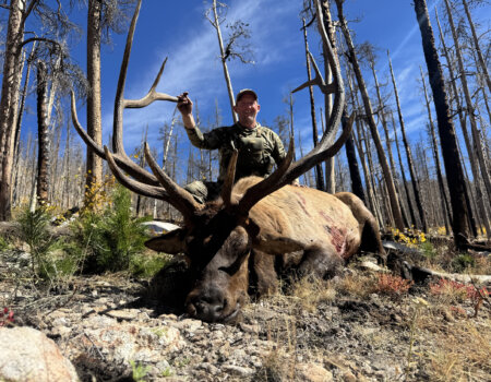 wta_1942_cwo_2025_elk-wilderness-guided-03