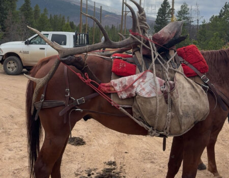 wta_2661_cwo_2025_elk-drop-camp-02