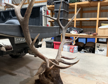 wta_2661_cwo_2025_elk-drop-camp-08