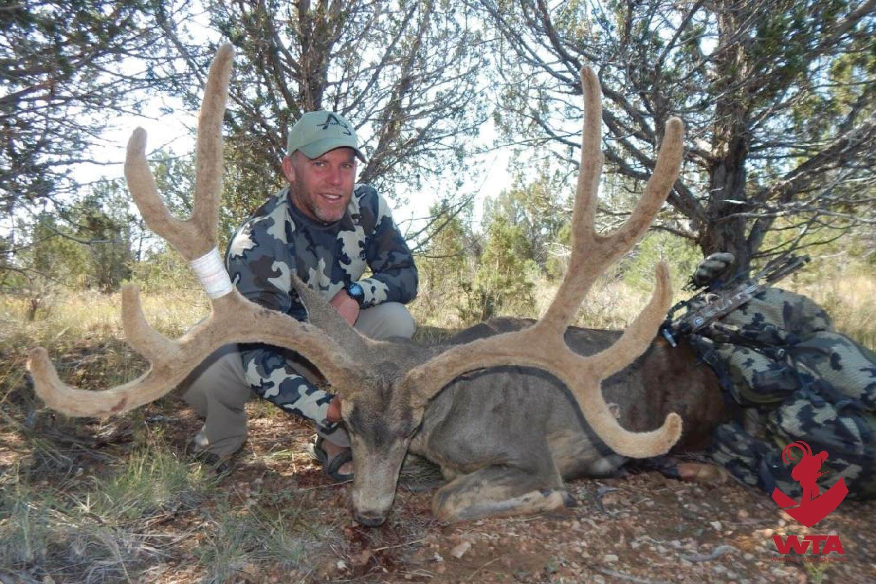 Arizona Deer And Sheep Deadline Alert Application Deadline June 9 Worldwide Trophy Adventures