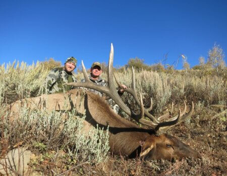 wta_1953_GUILDERSLEEVE BULL #1 - '19