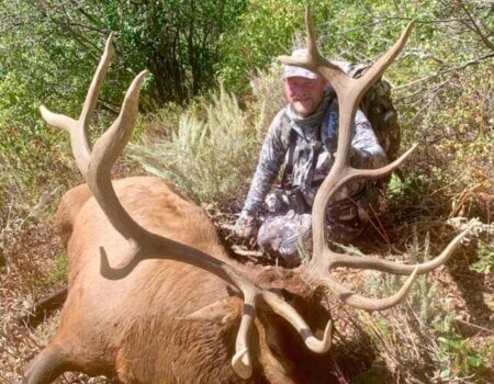 wta_1953_GUILDERSLEEVE BULL #4