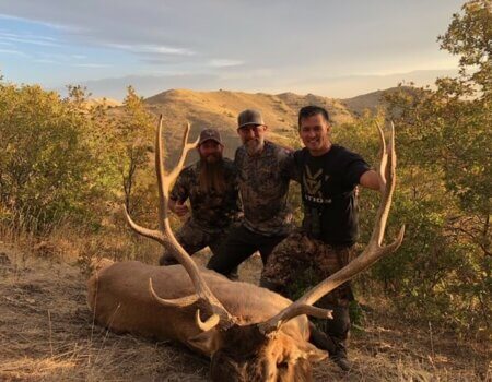 wta_1953_GUILDERSLEEVE BULL #8