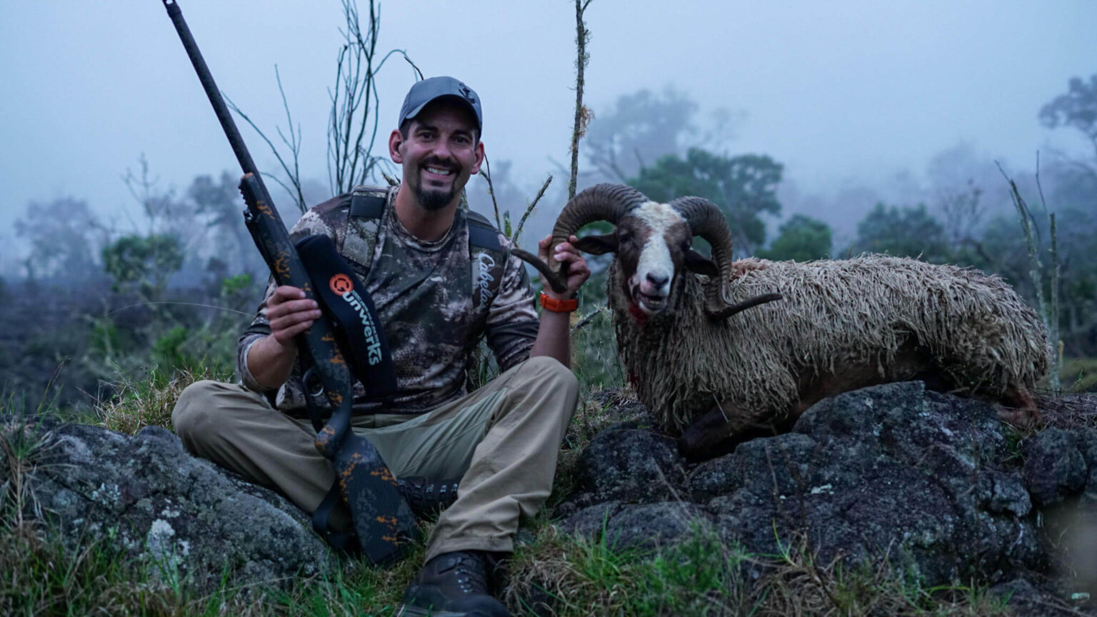 Hunting Hawaii’s Big Island The Journey Within, A Bird Hunter's Diary
