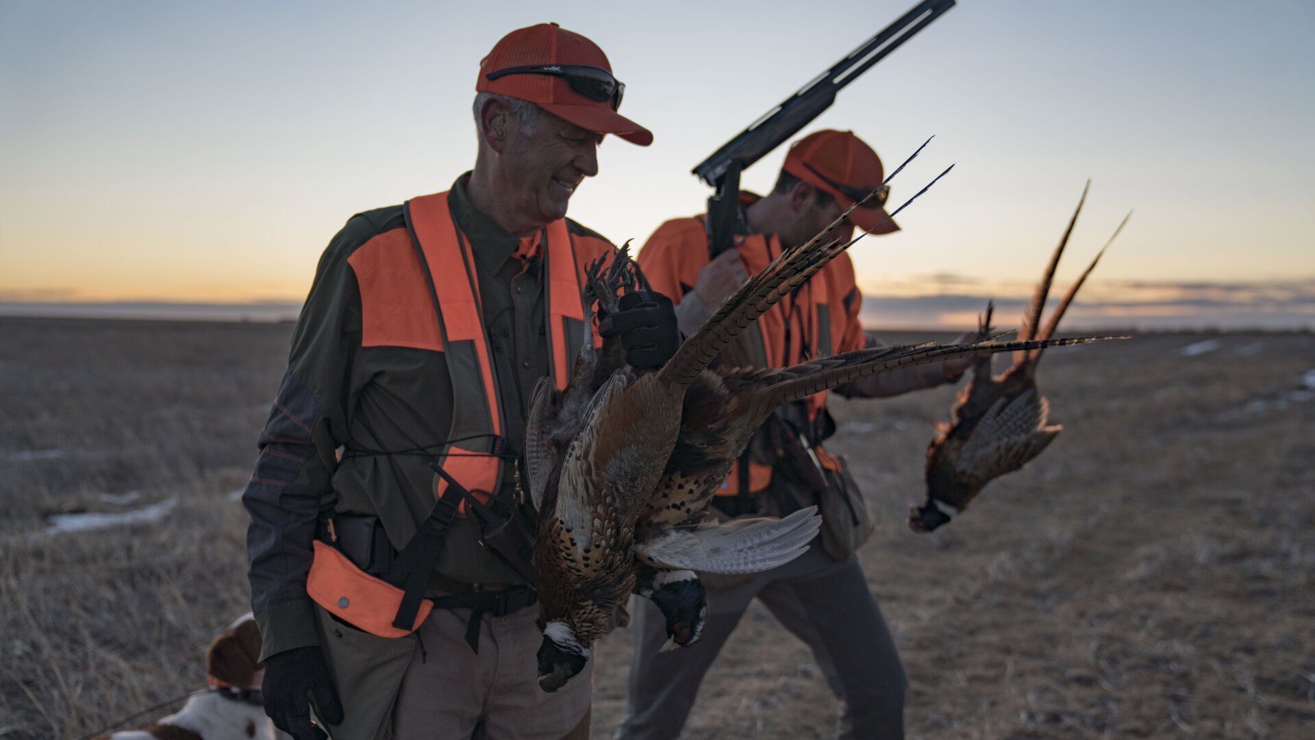 Roosters of Nebraska The Journey Within, A Bird Hunter’s Diary