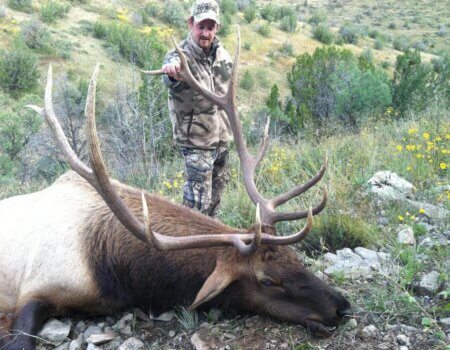wta_1956_Travis B. Cooper ranch bull