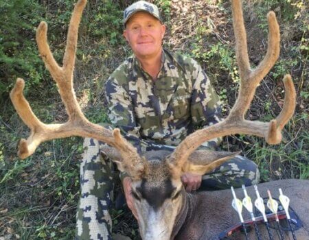 wta_1957_deer-2016-08