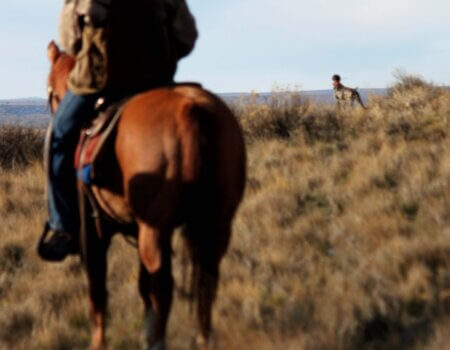 wta_1960_Horse hunting(54)