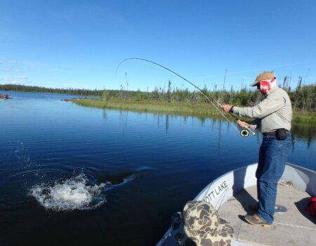 wta_1964_flyfish - Copy