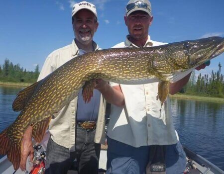 wta_1964_northernpike