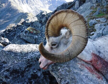 wta_1969_matt 3 2010 and 2011 412