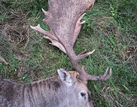 wta_1971_0c20e7c3-30a1-49a9-ab16-d2609245f6ae