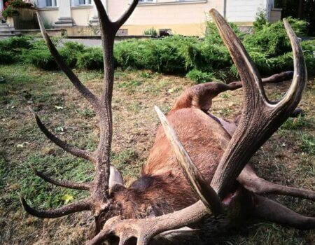 wta_1971_14d70b10-ed48-4f45-9da2-6f9b587b74b4