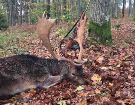 wta_1971_22886265_10156016060019101_5784408886535179786_n (1)