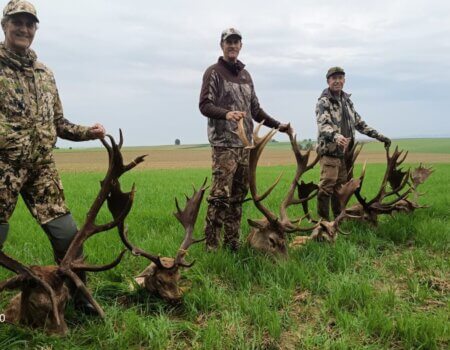 wta_1971_ccf3fb35-ef14-463f-8dca-ad0352710c19