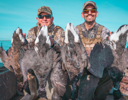wta_1972_DSC01828 Pacific Brant