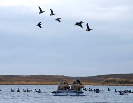 wta_1972_Screenshot 2020-09-20 124712