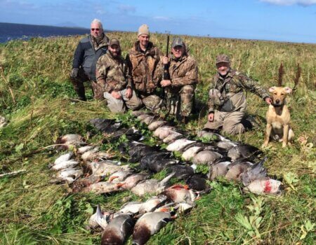 wta_1972_Screenshot 2020-09-20 125046