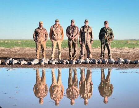 wta_1974_Sandhill cranes