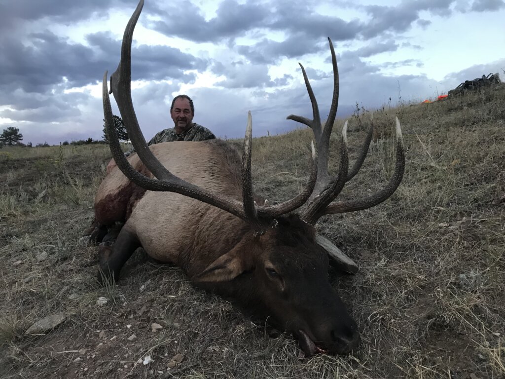 Colorado Unit 20 Private Land Muzzleloader Elk Worldwide Trophy