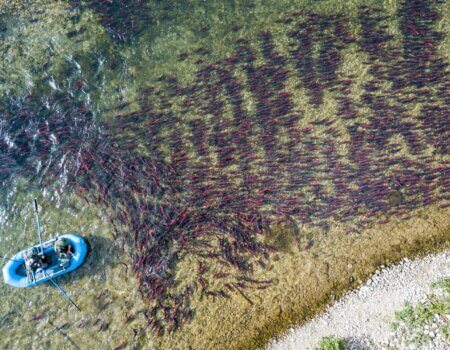 wta_1989_abe7 - Copy - Copy