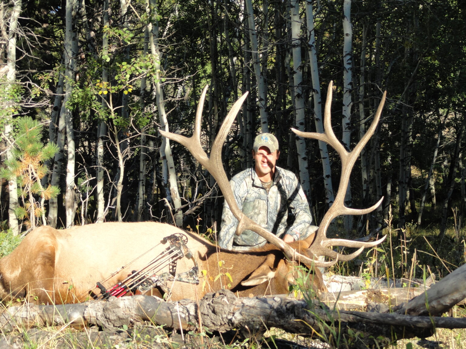 Wyoming Elk Hunting The Best In The West! Worldwide Trophy Adventures