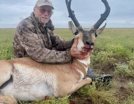 wta_1993_unnamed (3)