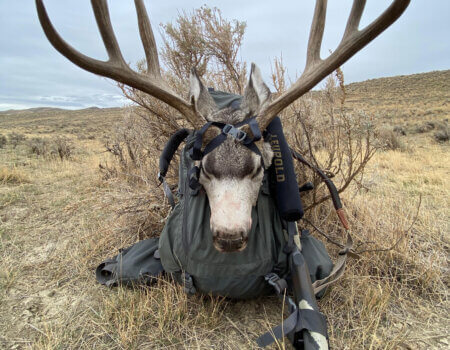 wta_1999_Buck on pack