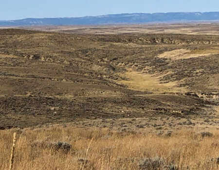 wta_1999_landscape 01