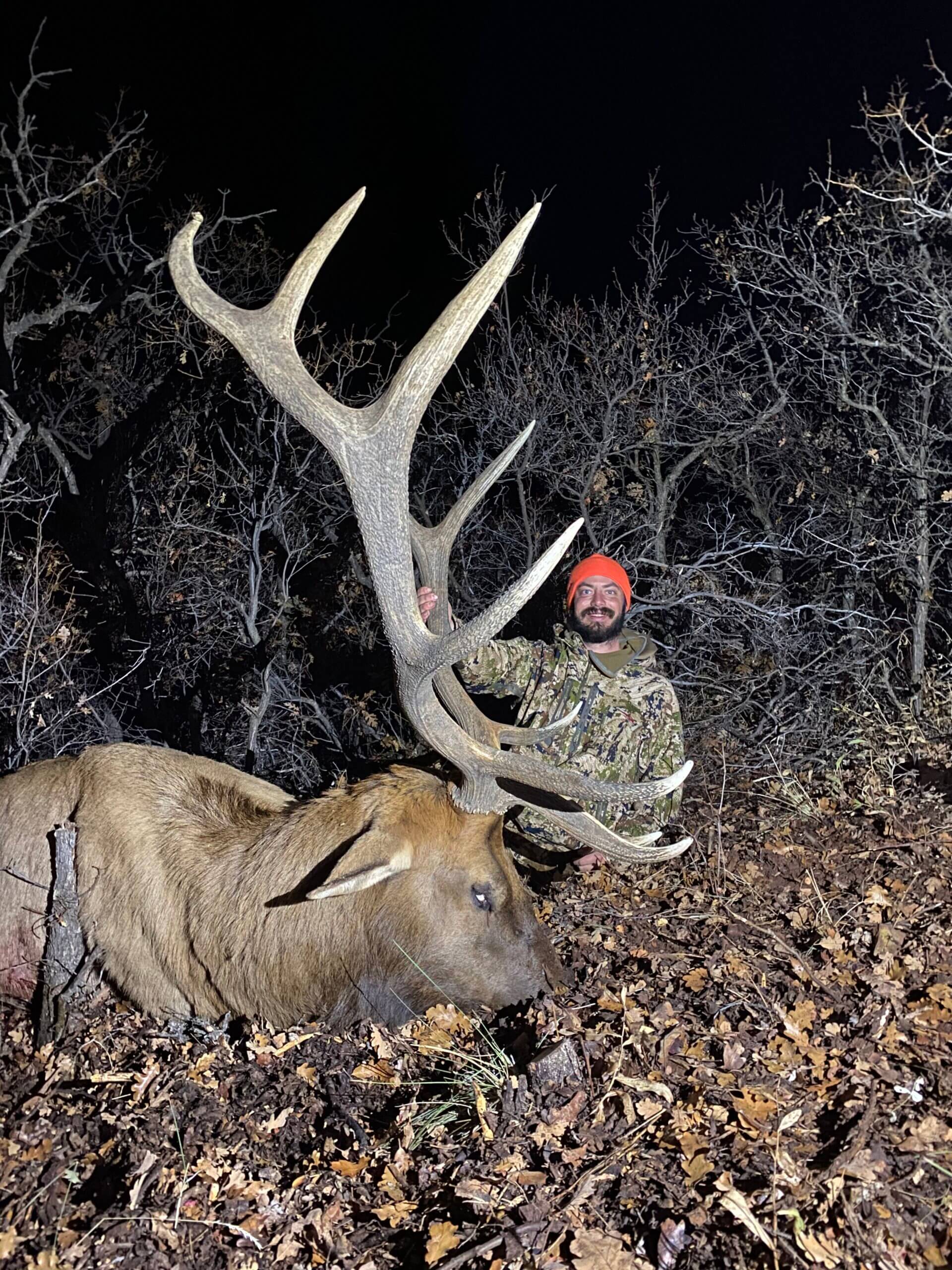 Colorado Elk & Deer A Tags Deadline You Don't Want To Miss