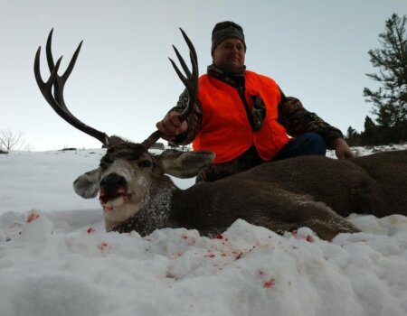 wta_2007_94001009_149806716575741_7703902247792410624_n