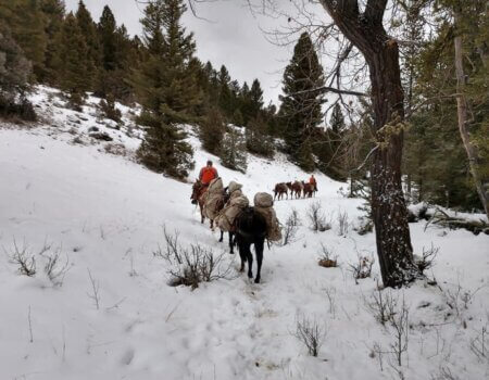 wta_2007_94393158_149805813242498_6035556978011406336_n