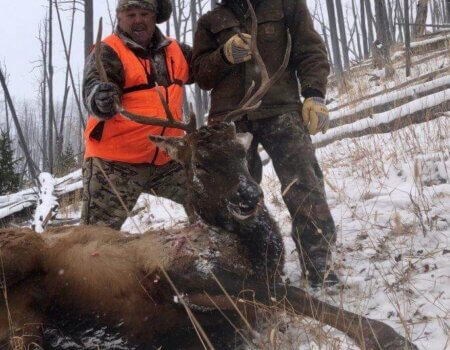 wta_2008_mtn elk