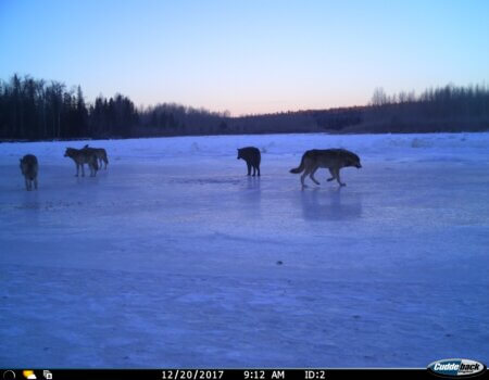 wta_2011_IMG-4874 (1)