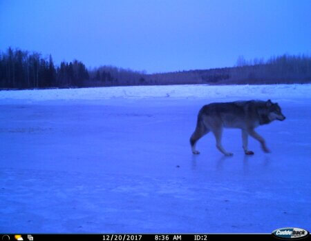 wta_2011_IMG-4875 (1)