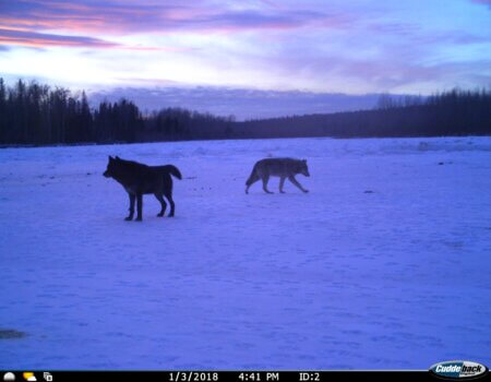 wta_2011_IMG-4876 (1)