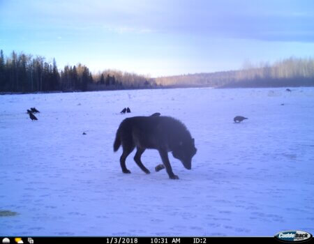 wta_2011_IMG-4878 (1)